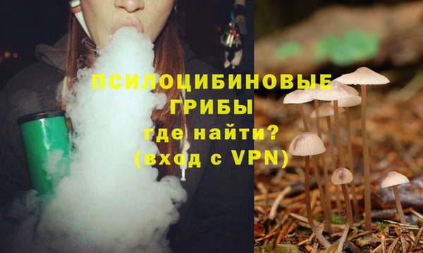 альфа пвп Карпинск