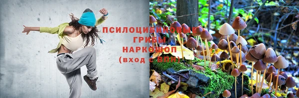 альфа пвп Карпинск